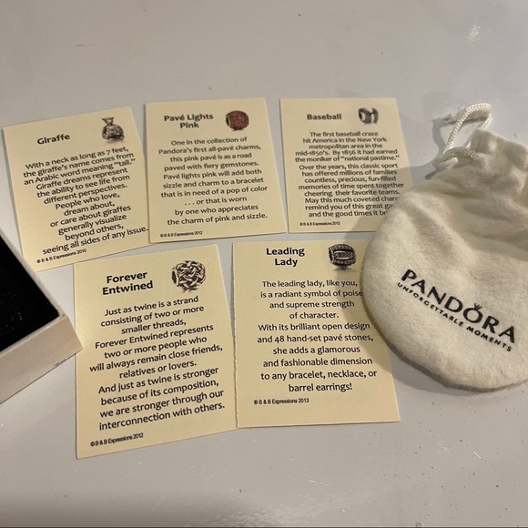 Silver Pandora Bracelet with 13 Charms - Picture 11 of 11